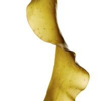 Seaweed1